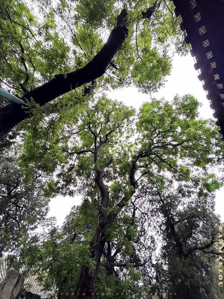 PEKIN - PARC BEIHAI (28).jpg